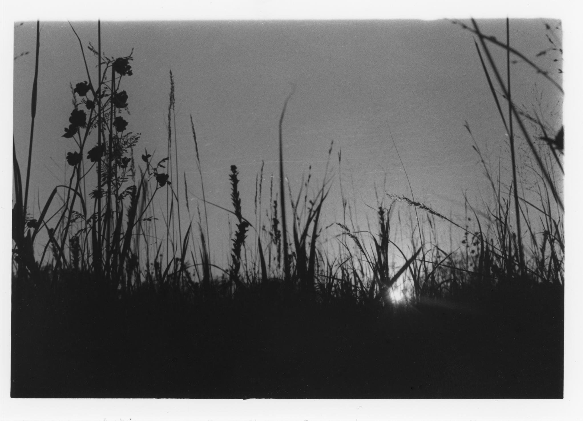 The Beautiful Prairie