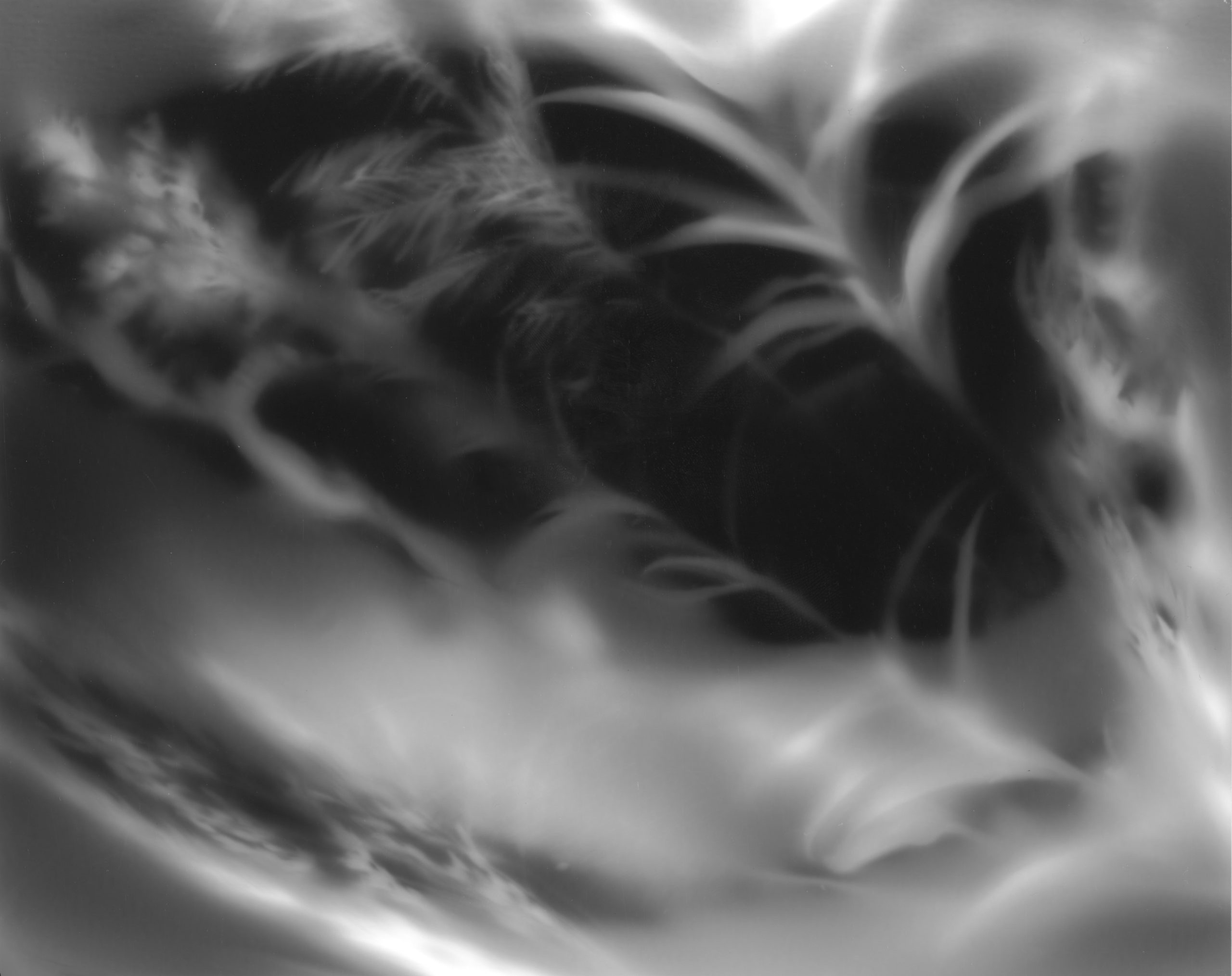 img20231212_12022932 copy